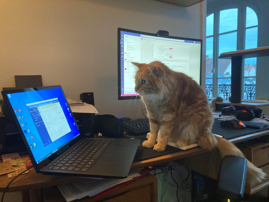 Créer et auto-héberger un bot WhatsApp Cloud API sur Unraid